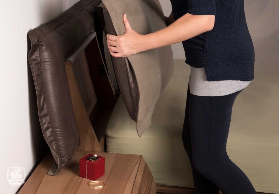 ΑΛΚΗΣΤΗ PILLOW - Image 6